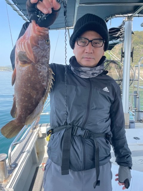 アコウ(キジハタ)