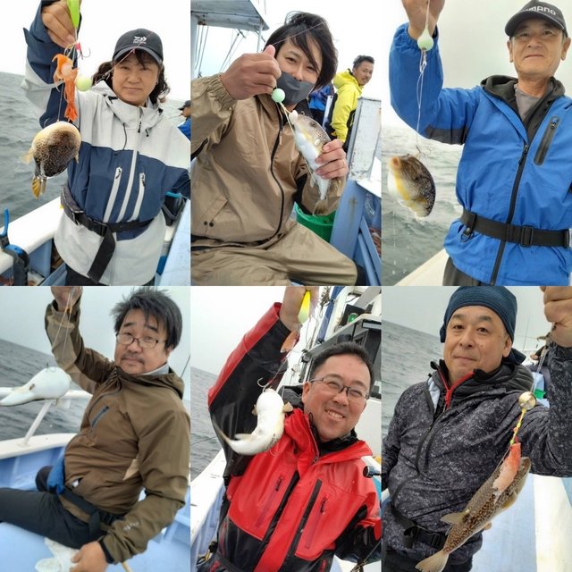 ショウサイフグ