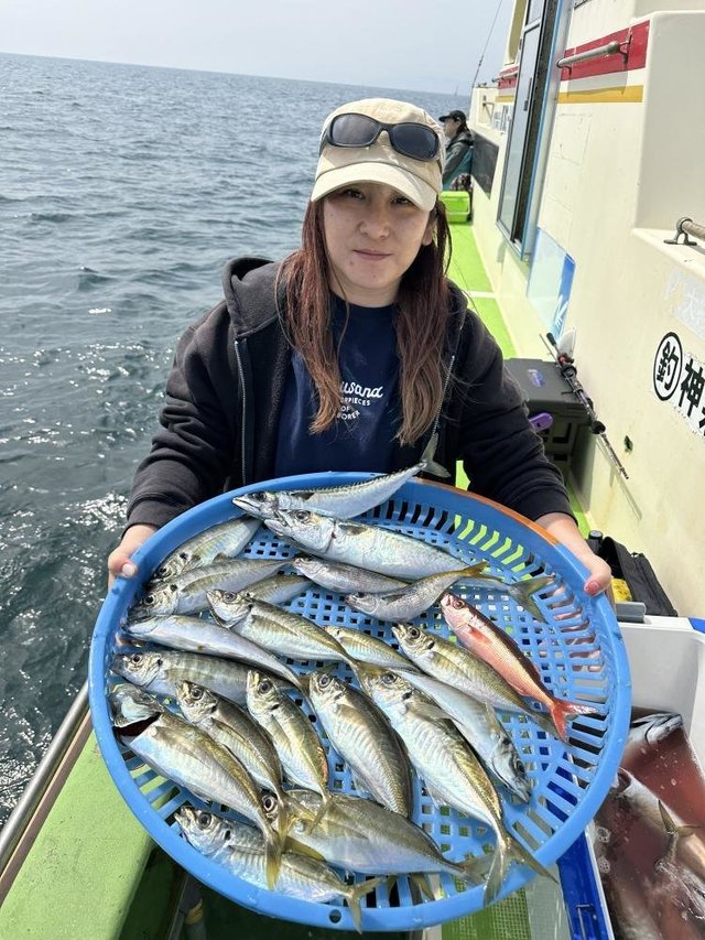 アジ(マアジ)・タカベ・サバ(マサバ)・ハチビキ