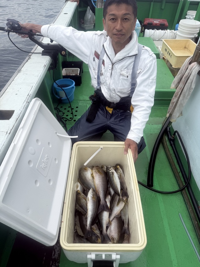 イサギ(イサキ)