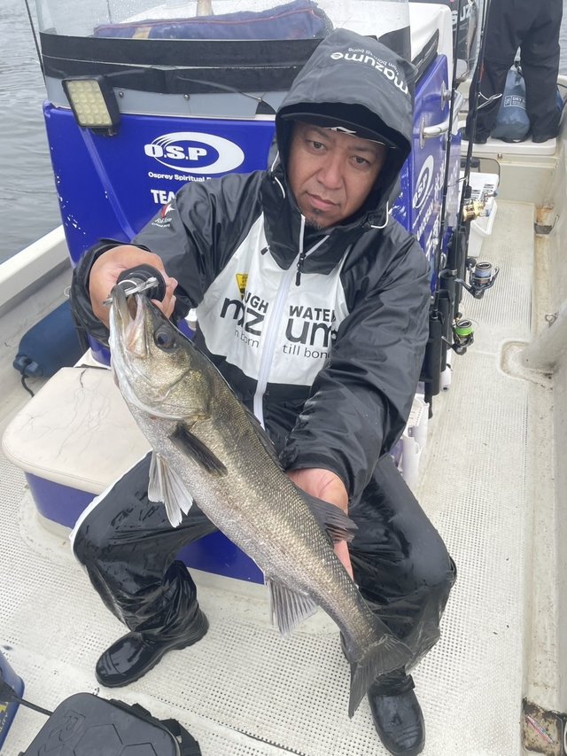 シーバス(スズキ)