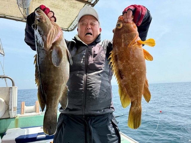 クエ・アコウ(キジハタ)