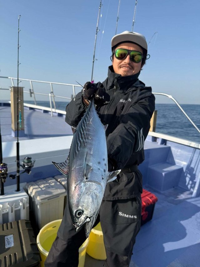 スマガツオ(スマ)