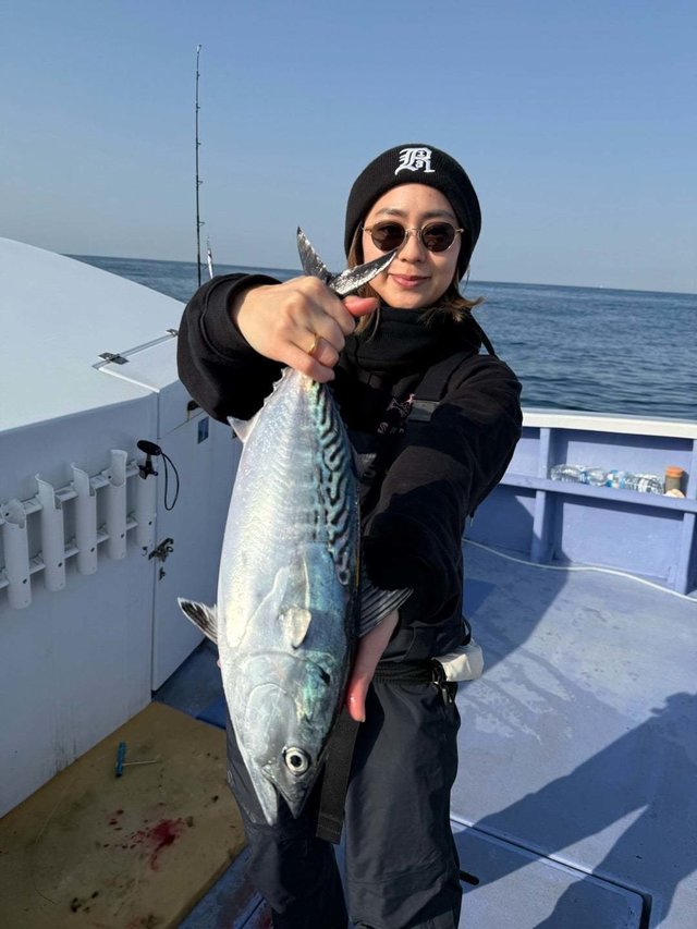 スマガツオ(スマ)