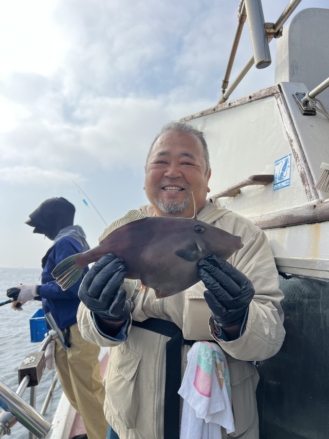 ウマズラハギ(ウマヅラハギ)