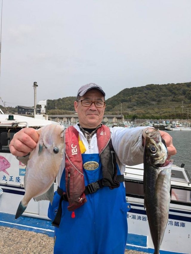 アジ(マアジ)・ウマズラハギ(ウマヅラハギ)