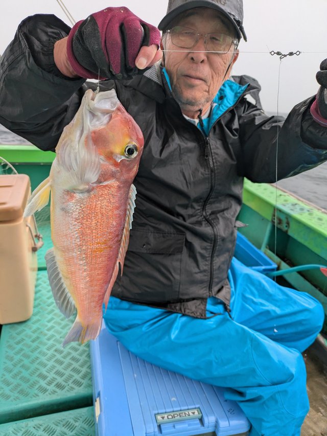 アマダイ(アカアマダイ)