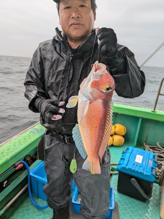 アマダイ(アカアマダイ)