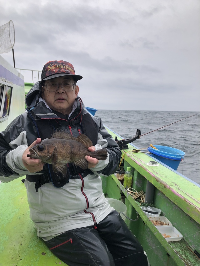 クロメバル(メバル)