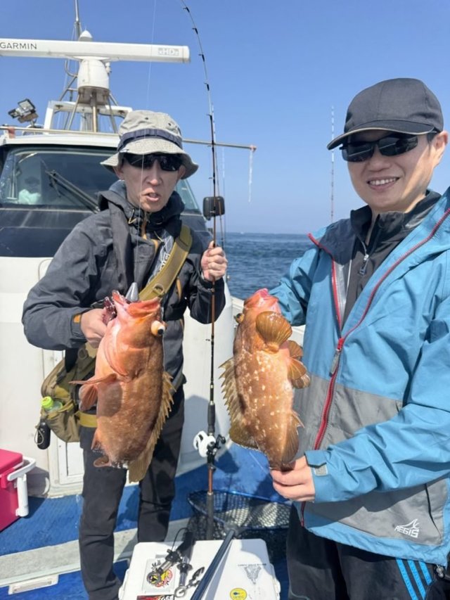 アコウ(キジハタ)