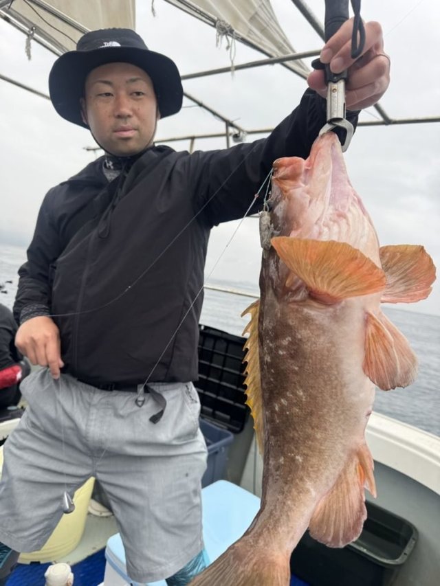 アコウ(キジハタ)