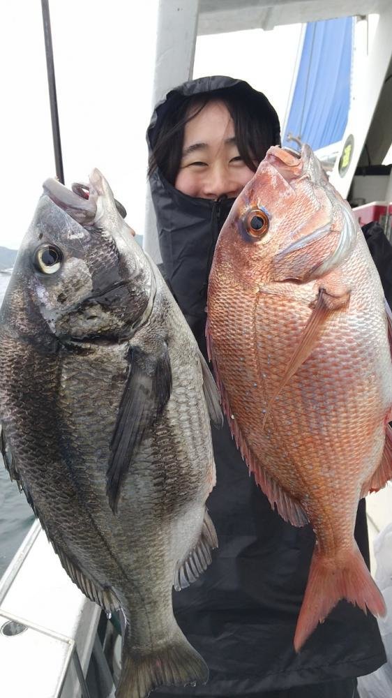 マダイ・クロダイ