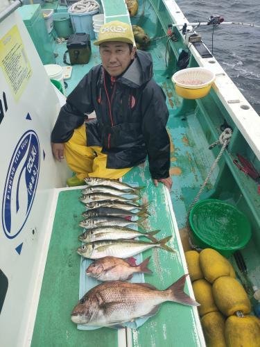 マダイ・アジ(マアジ)