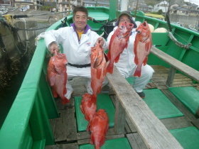 ベニアコウ(オオサガ)