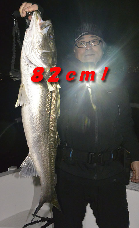 シーバス(スズキ)