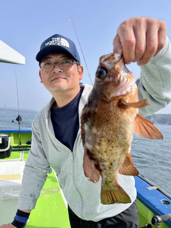 クロメバル(メバル)