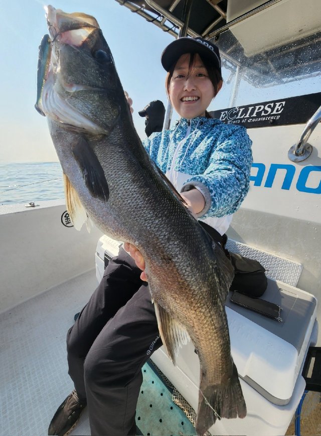 シーバス(スズキ)