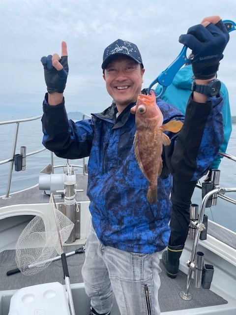 アコウ(キジハタ)