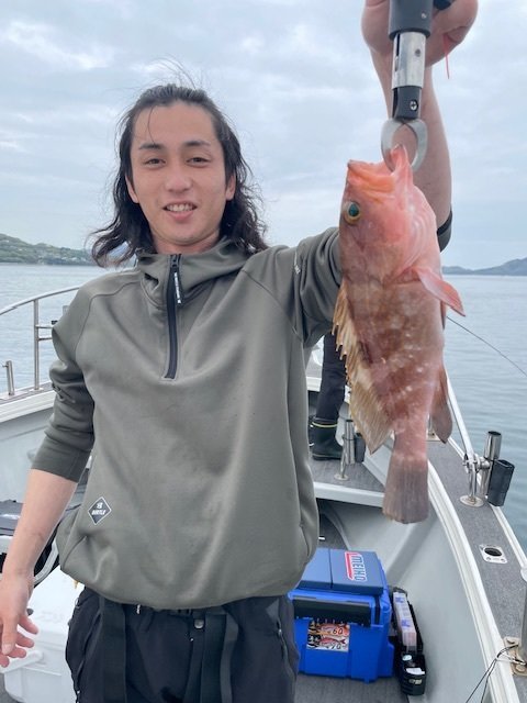 アコウ(キジハタ)