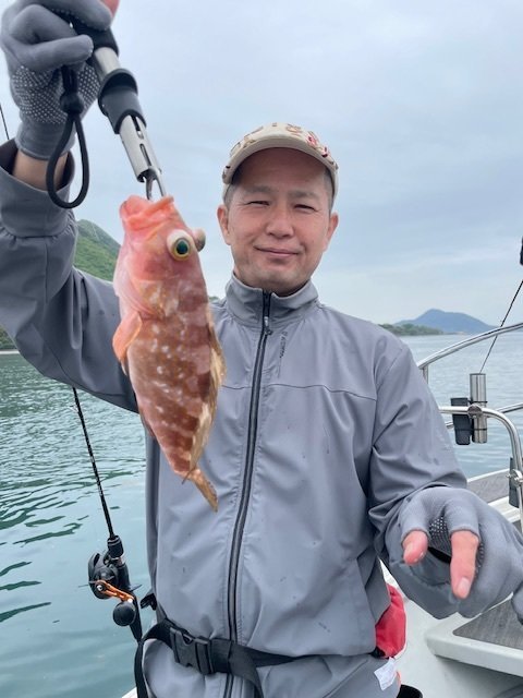 アコウ(キジハタ)