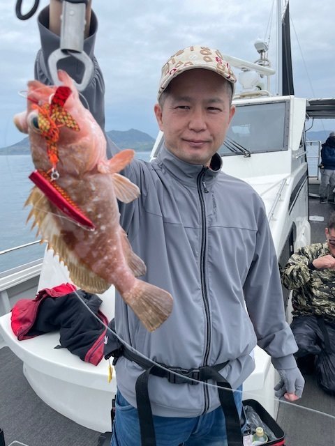 アコウ(キジハタ)