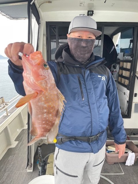 アコウ(キジハタ)