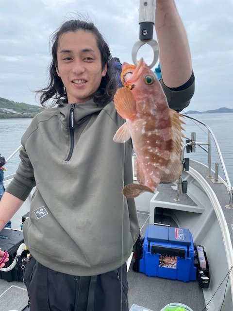 アコウ(キジハタ)