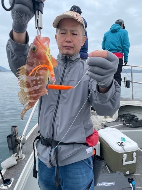 アコウ(キジハタ)