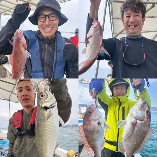 マダイ・アジ(マアジ)