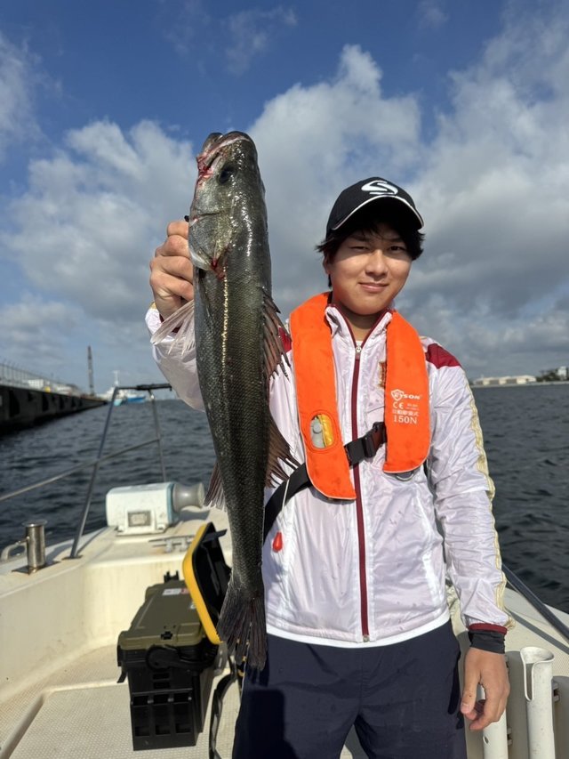 シーバス(スズキ)