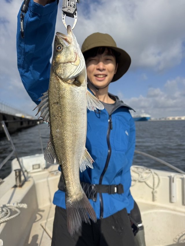 シーバス(スズキ)