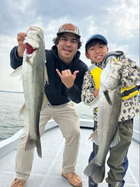 シーバス(スズキ)