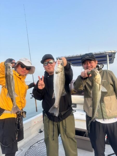 シーバス(スズキ)