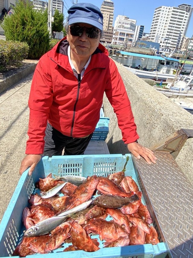 マアジ・ガシラ(カサゴ)