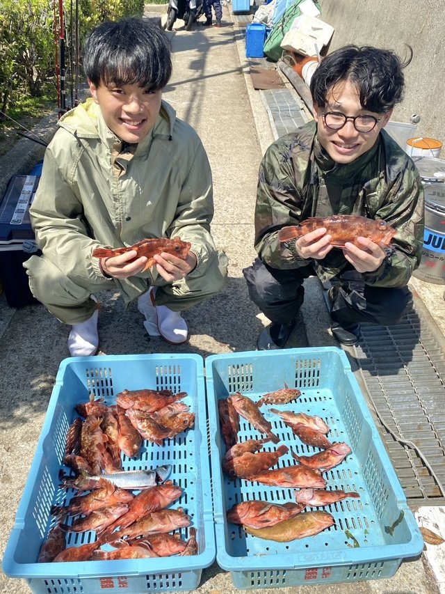 ガシラ(カサゴ)