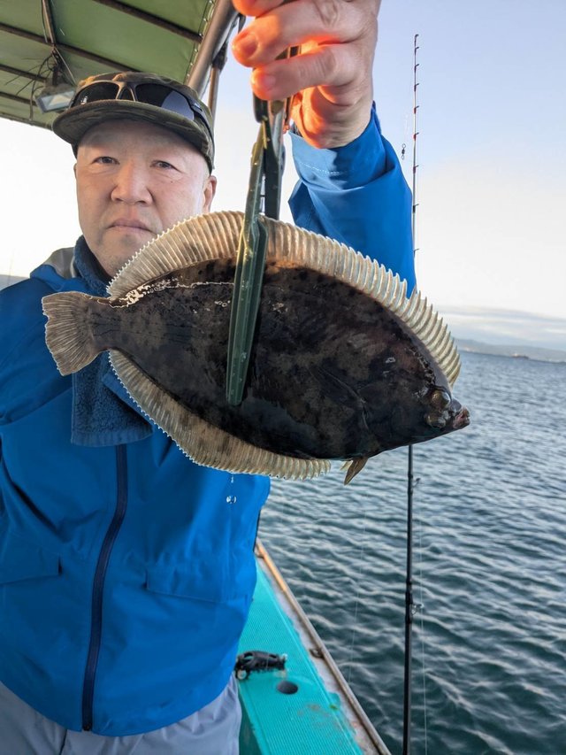 カレイ(マコガレイ)