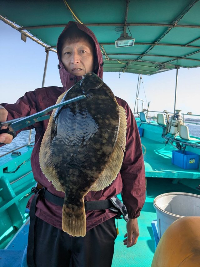 カレイ(マコガレイ)