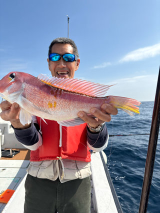 アマダイ(アカアマダイ)