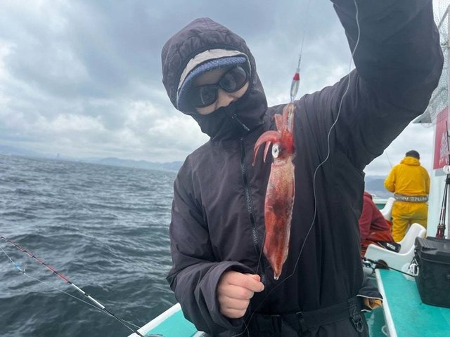 マルイカ(ケンサキイカ)