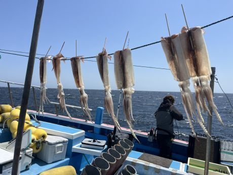 スルメ(スルメイカ)