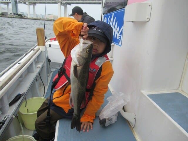 シーバス(スズキ)