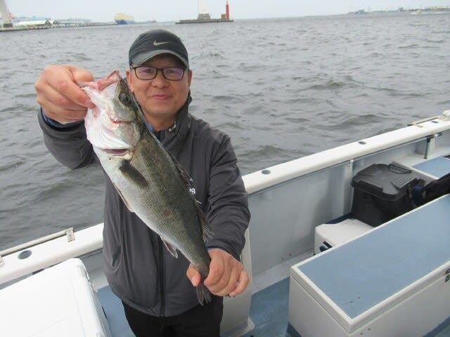 シーバス(スズキ)