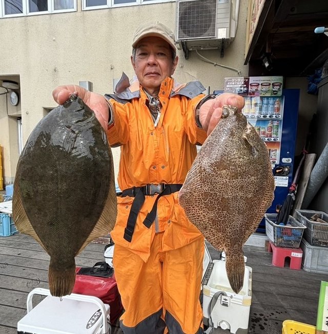 マコガレイ・メイタカレイ(メイタガレイ)