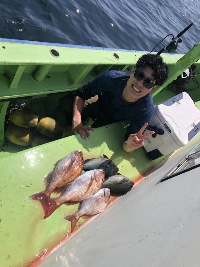 マダイ・メジナ