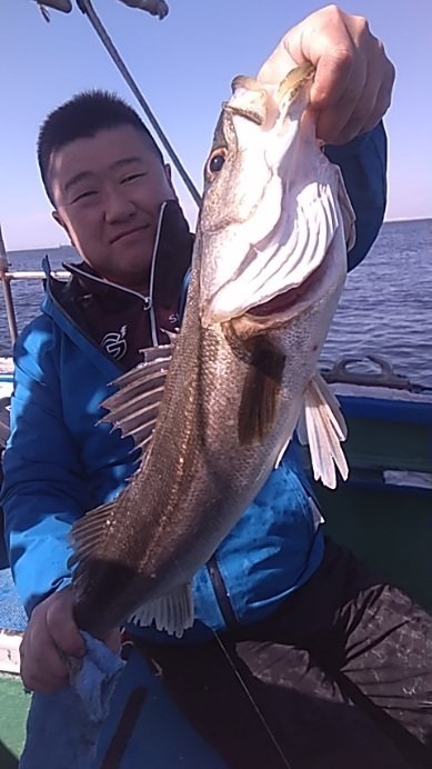 シーバス(スズキ)