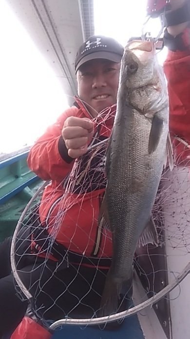 シーバス(スズキ)