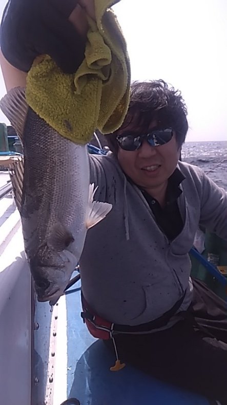 シーバス(スズキ)