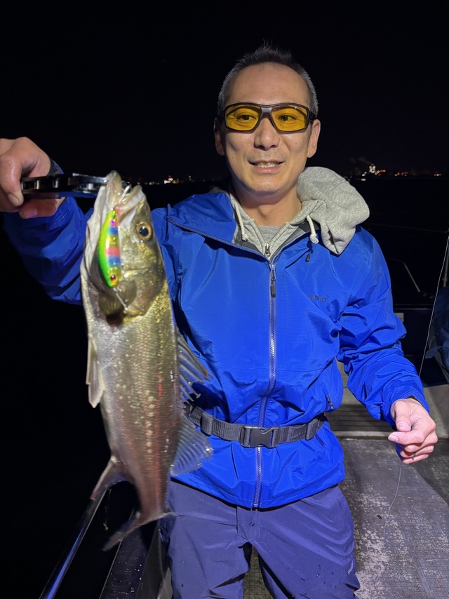 シーバス(スズキ)