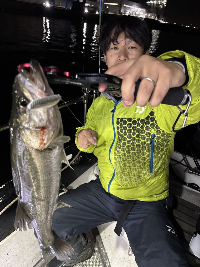 シーバス(スズキ)