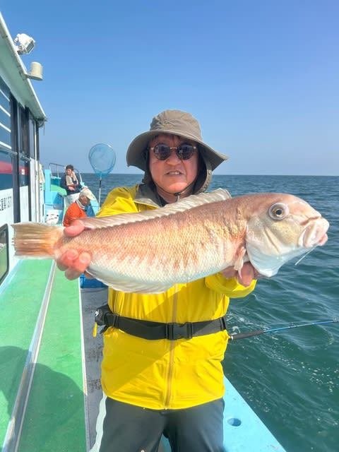 アマダイ(アカアマダイ)